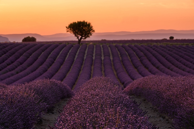 france_provence_camargue_007