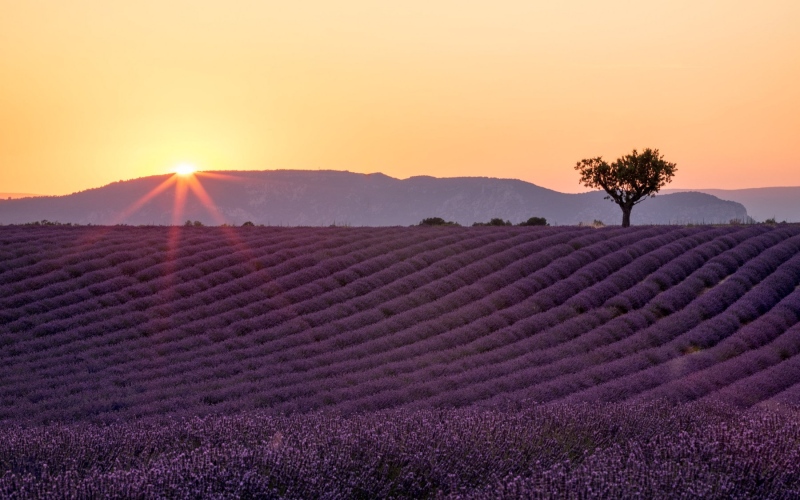 france_provence_camargue_008