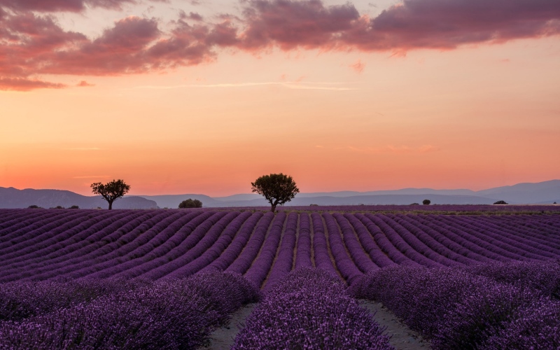 france_provence_camargue_009