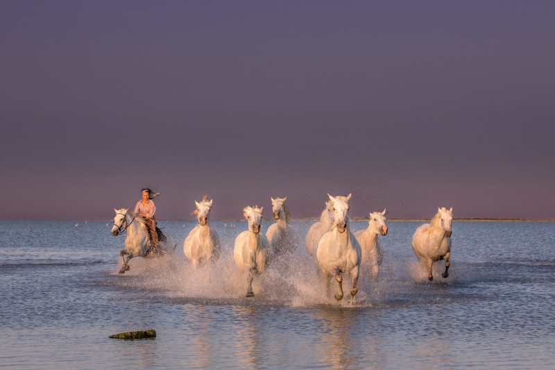 france_provence_camargue_013