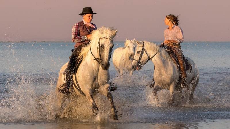 france_provence_camargue_015