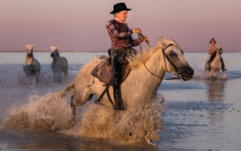 france_provence_camargue_017