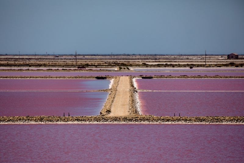 france_provence_camargue_027