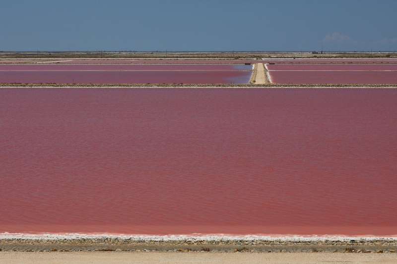 france_provence_camargue_028