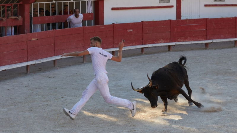 france_provence_camargue_030