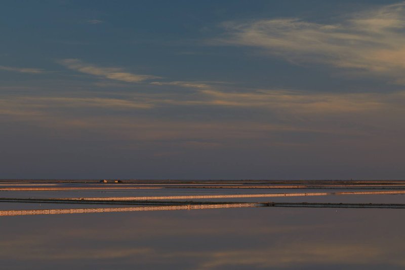 france_provence_camargue_031