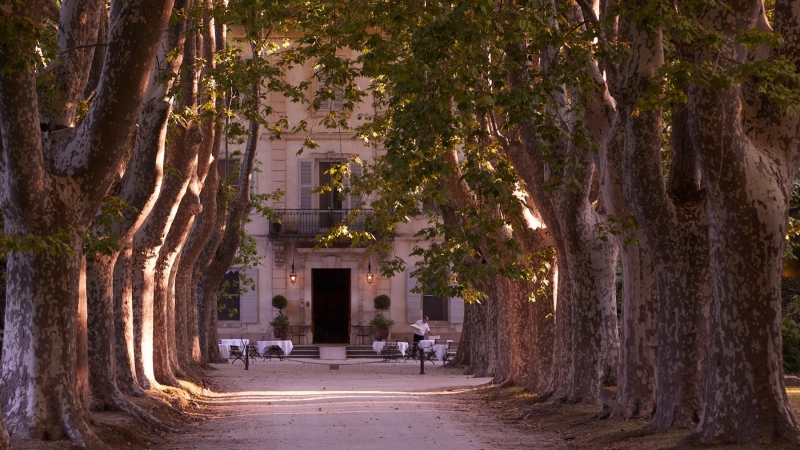 france_provence_camargue_036