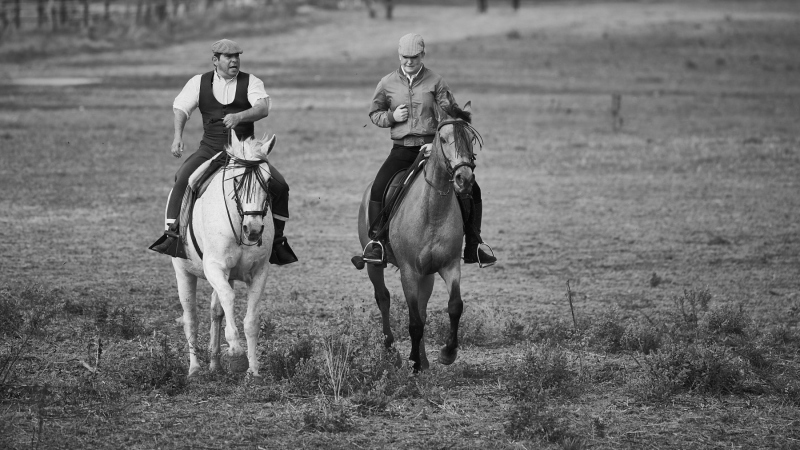 france_provence_camargue_047