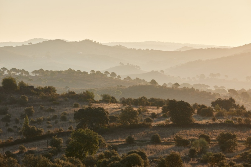 france_provence_camargue_056